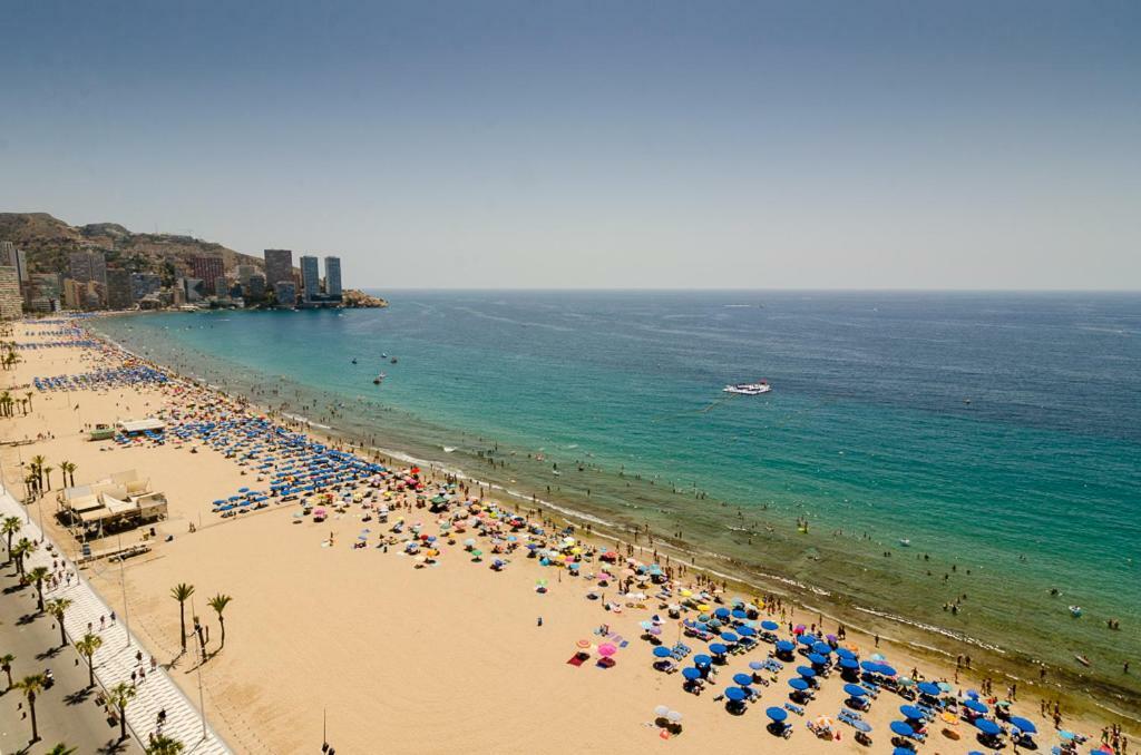 Las Palmeras 15D Apartament Benidorm Zewnętrze zdjęcie
